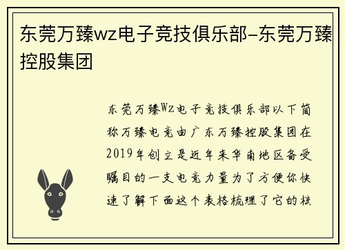 东莞万臻wz电子竞技俱乐部-东莞万臻控股集团